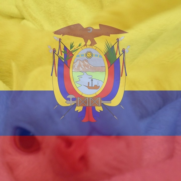 richardvalderra